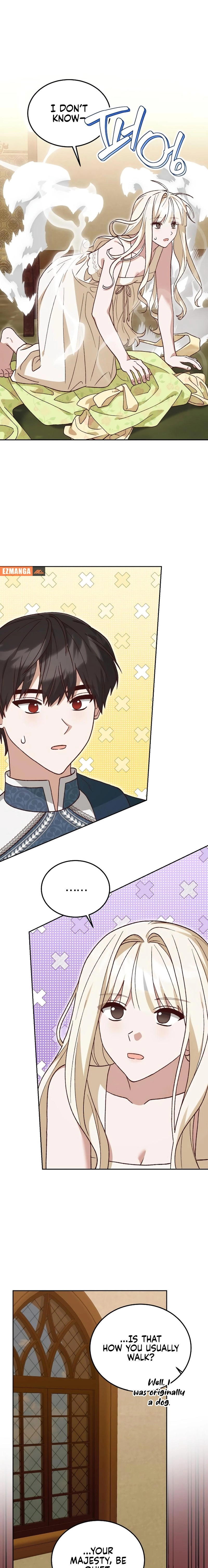 The Emperor