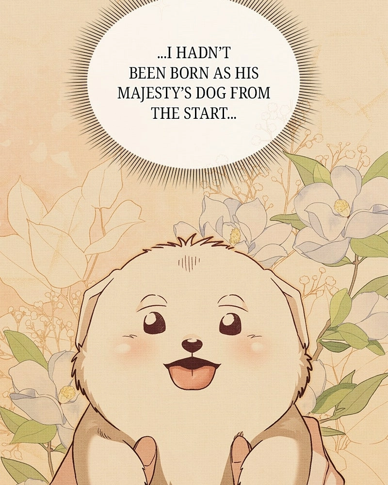 The Emperor