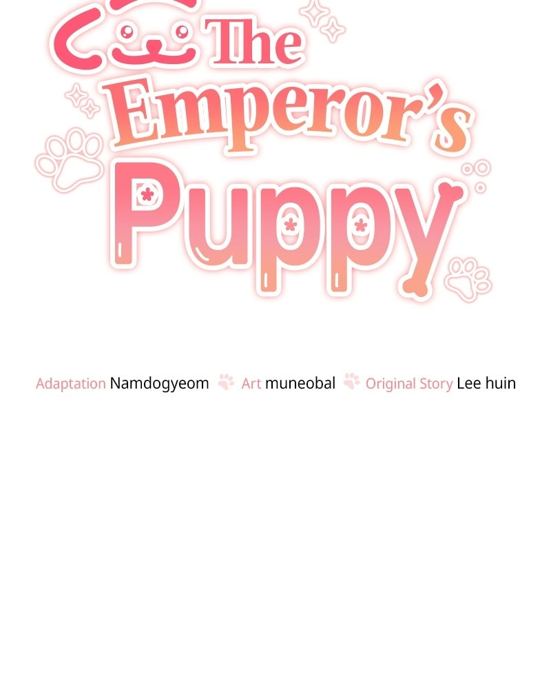 The Emperor