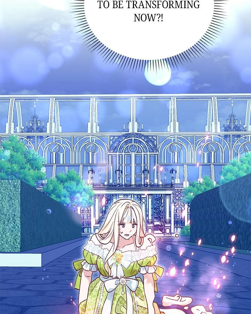 The Emperor