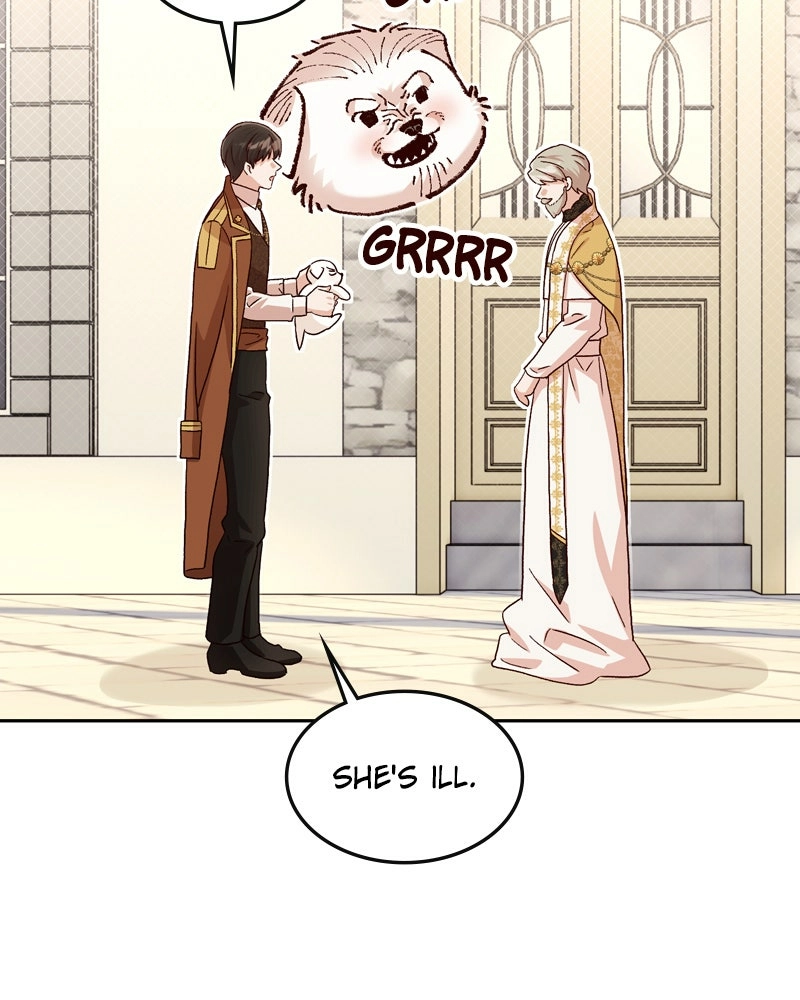 The Emperor