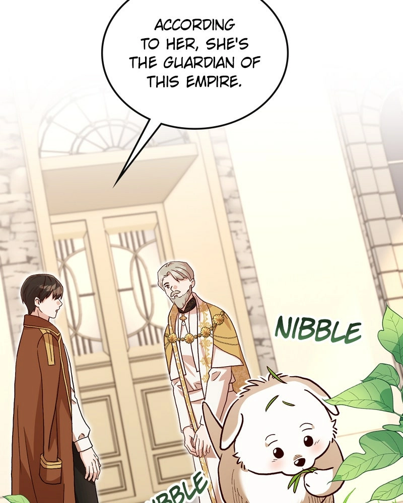 The Emperor