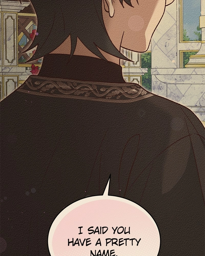 The Emperor