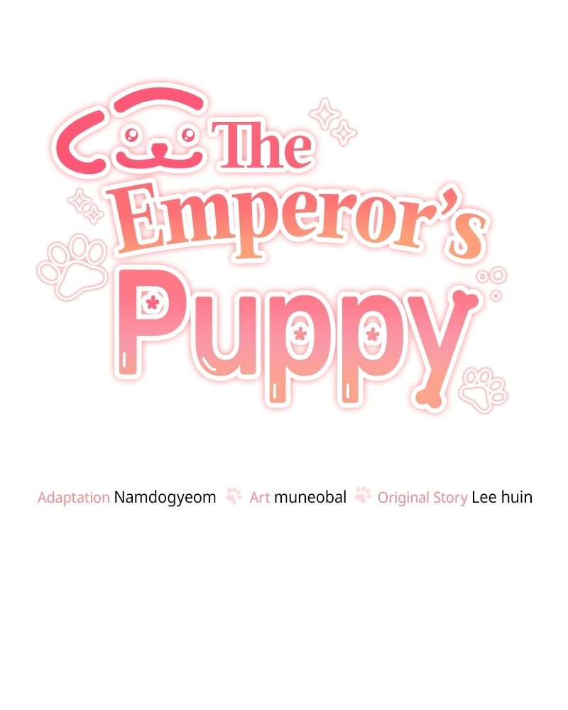 The Emperor
