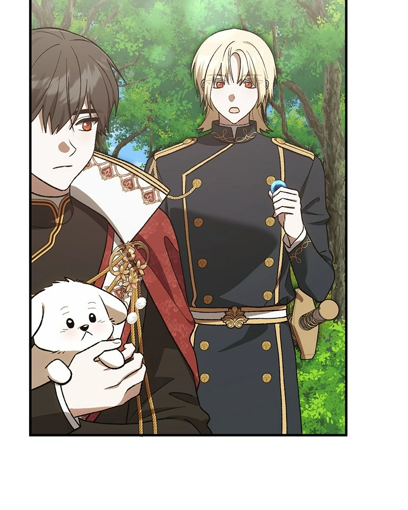 The Emperor