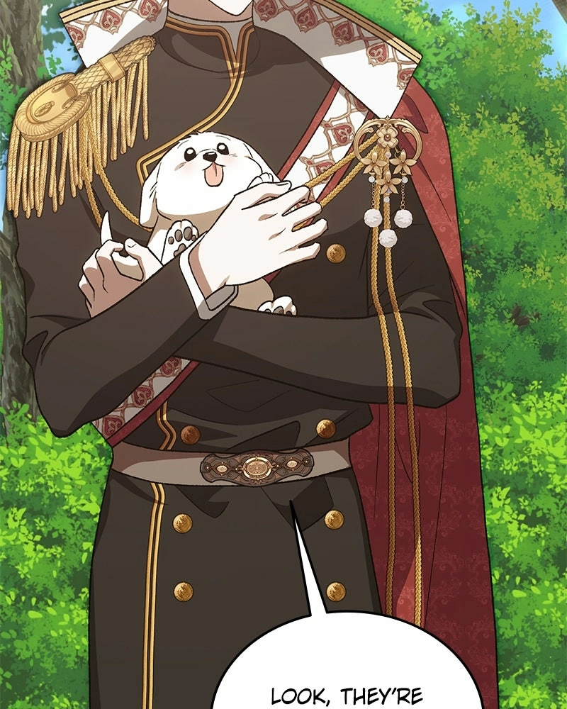 The Emperor
