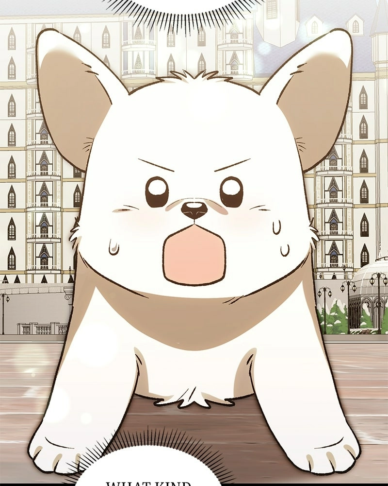 The Emperor