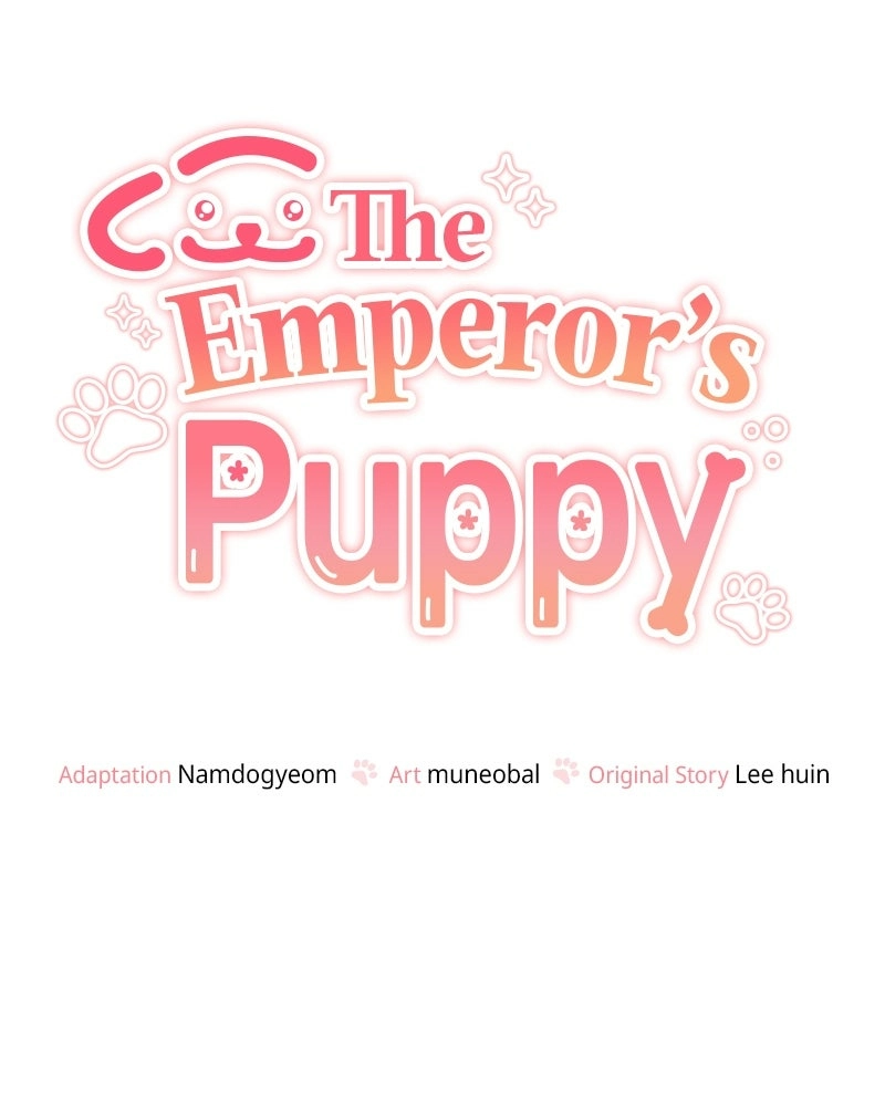 The Emperor