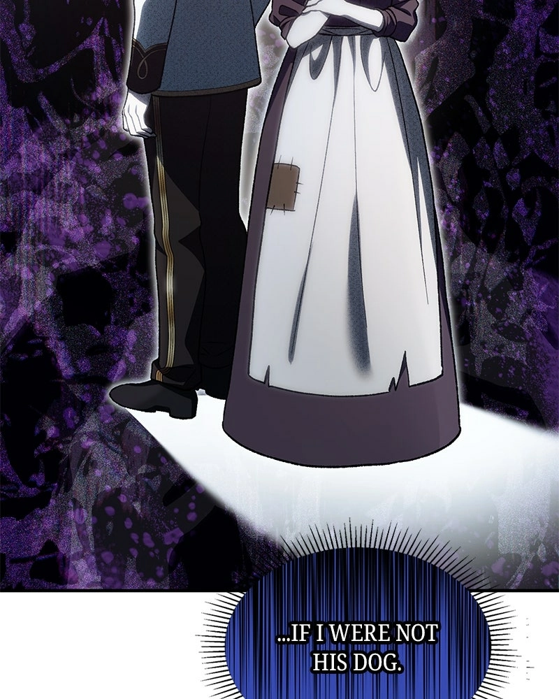 The Emperor