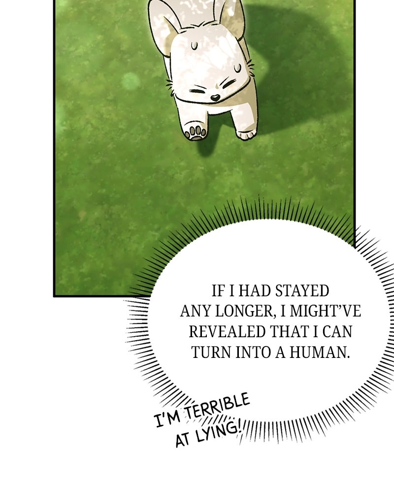The Emperor