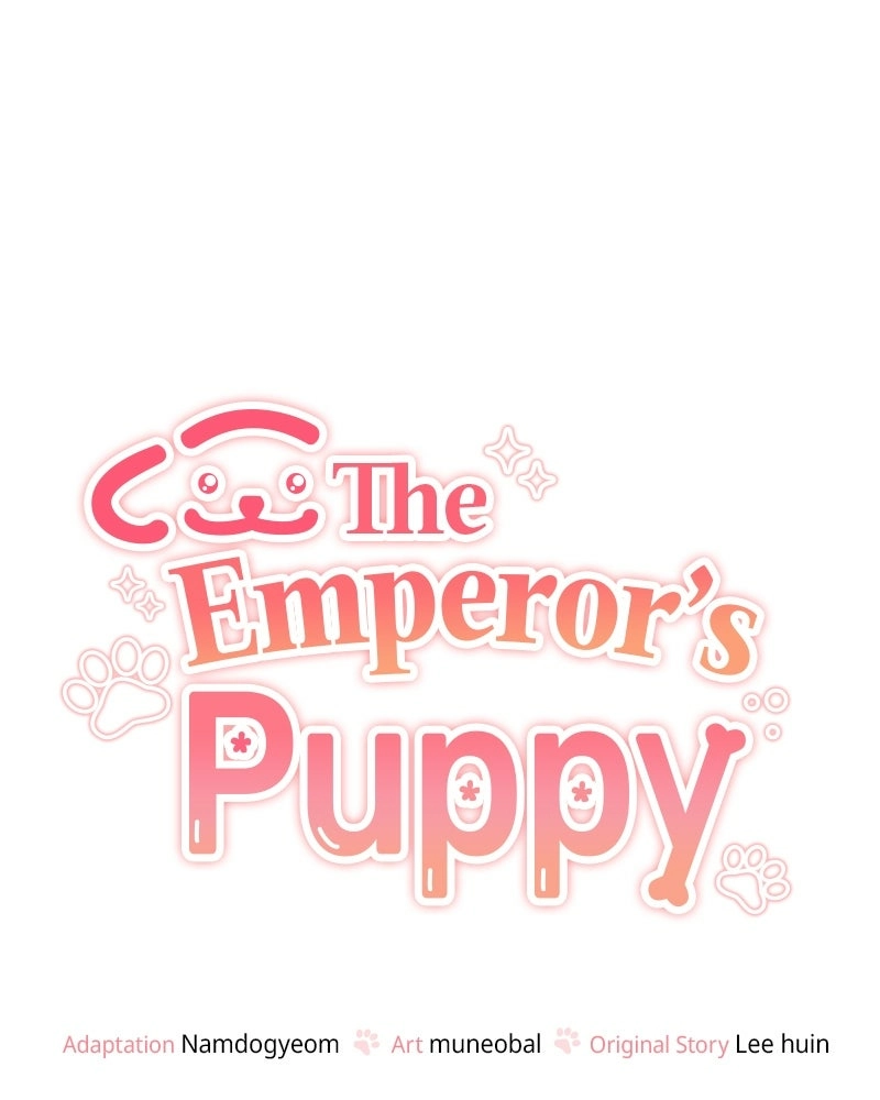 The Emperor
