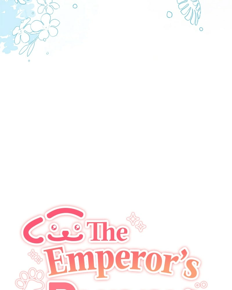 The Emperor
