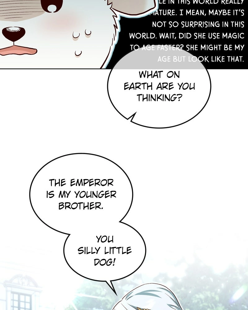 The Emperor