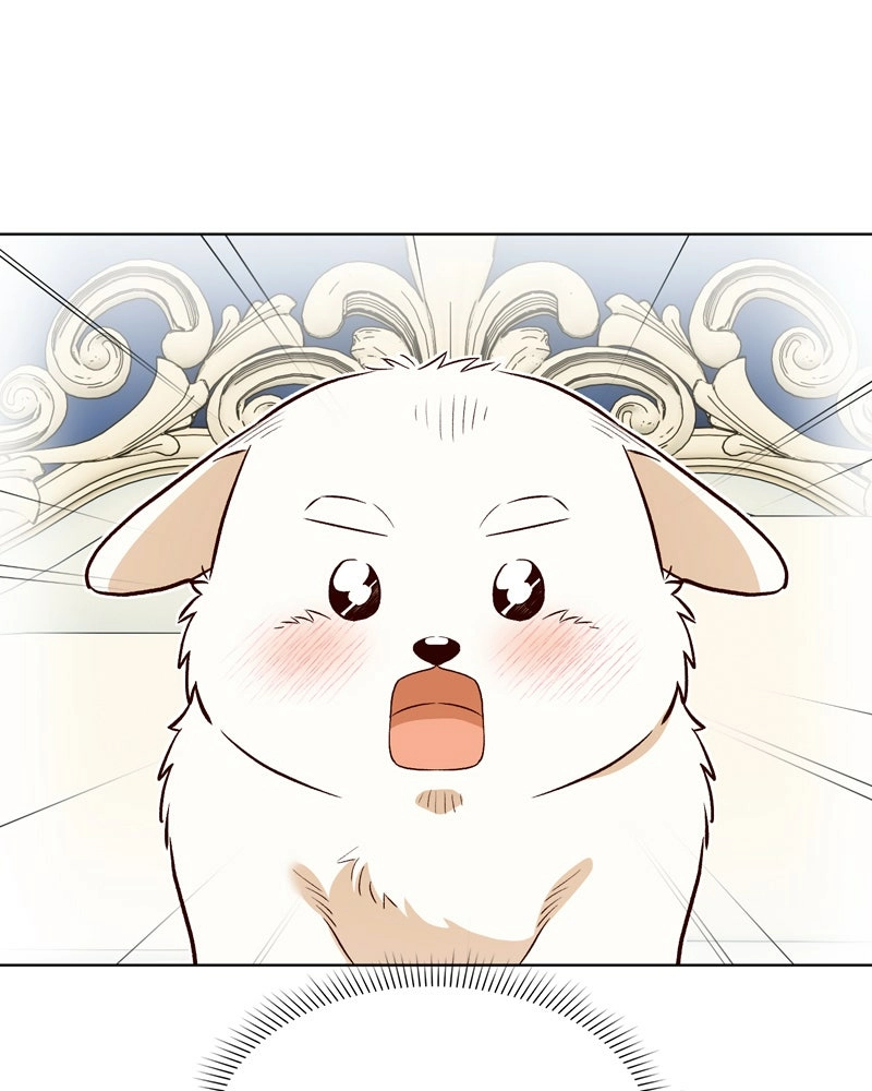 The Emperor