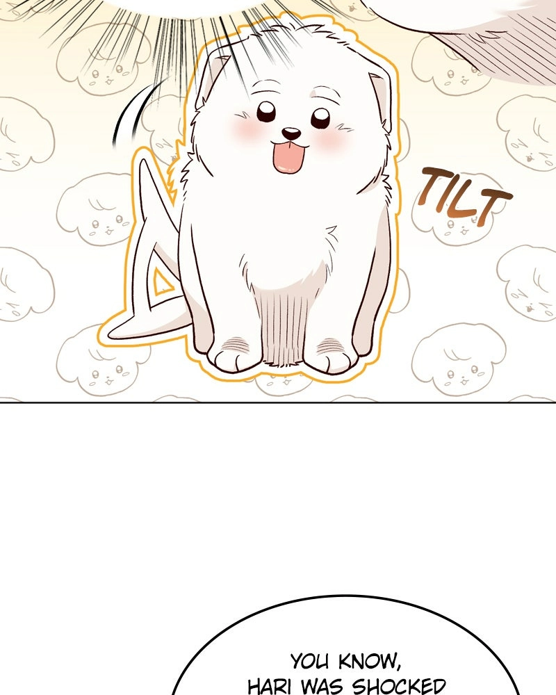 The Emperor