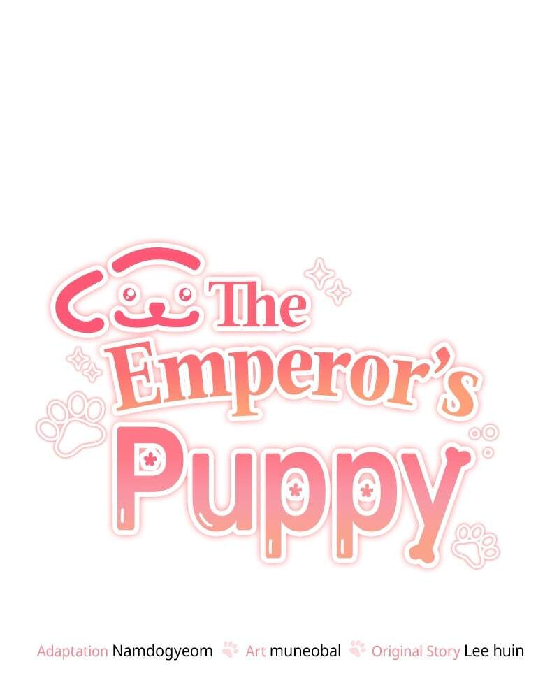 The Emperor