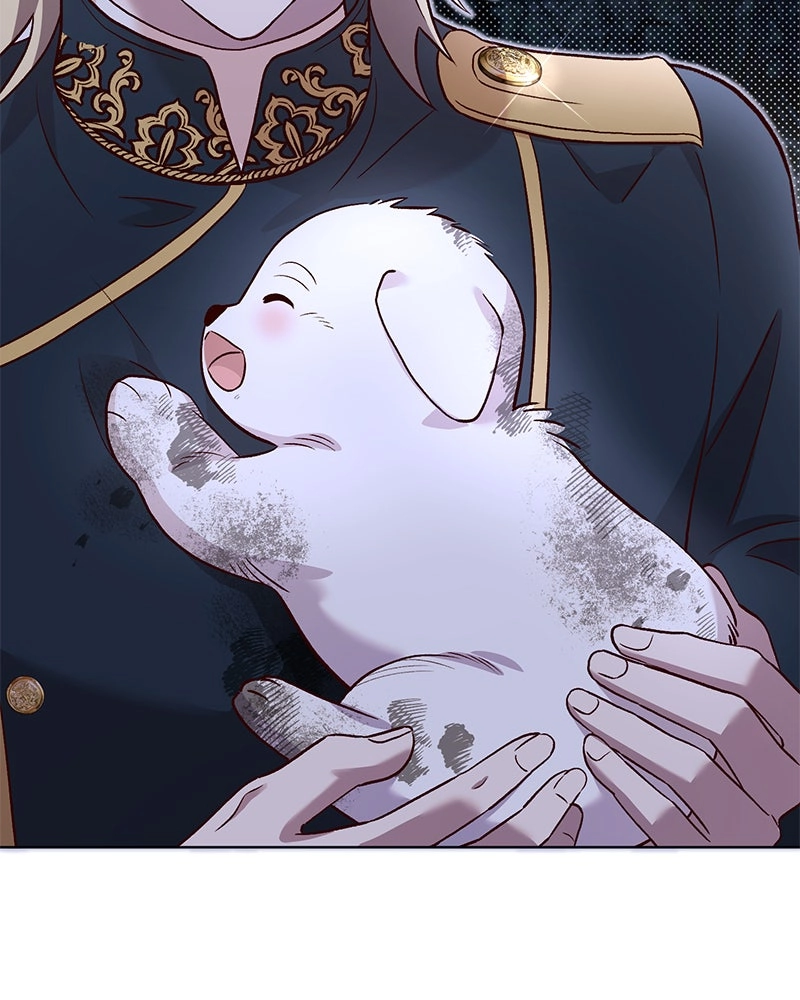 The Emperor