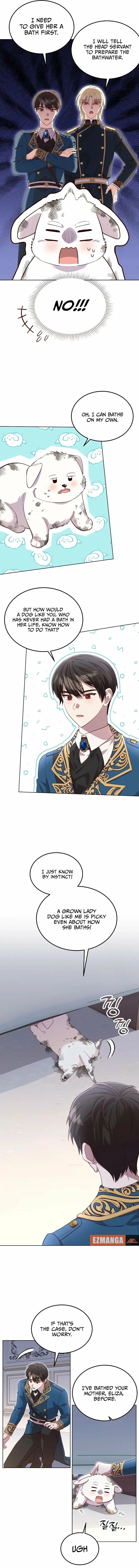 The Emperor