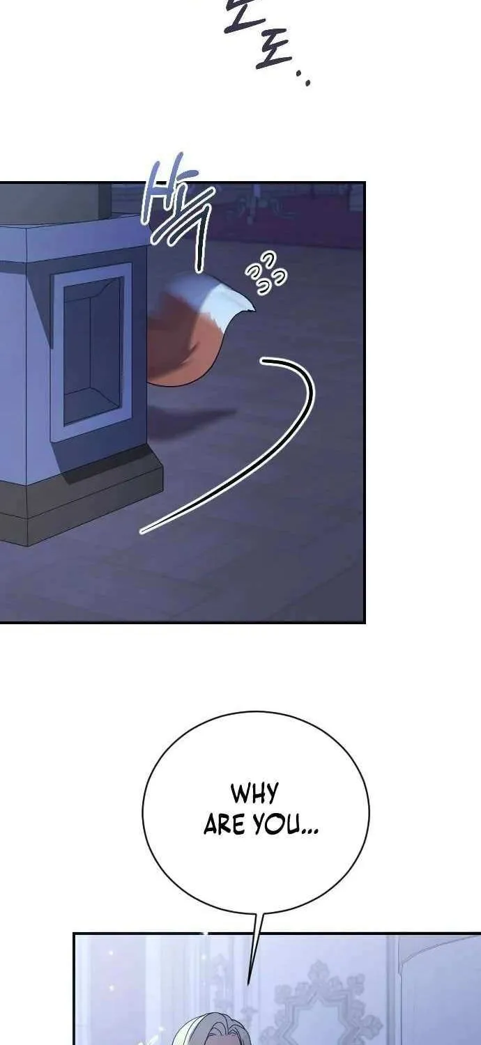The Empress’s Beast Selection Chapter 19 page 29 - 
