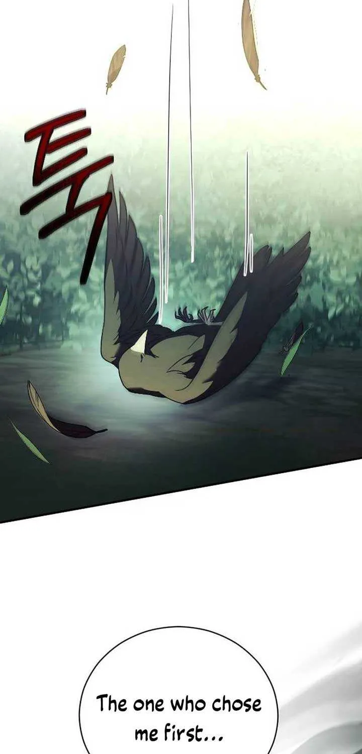 The Empress’s Beast Selection Chapter 25 page 29 - 