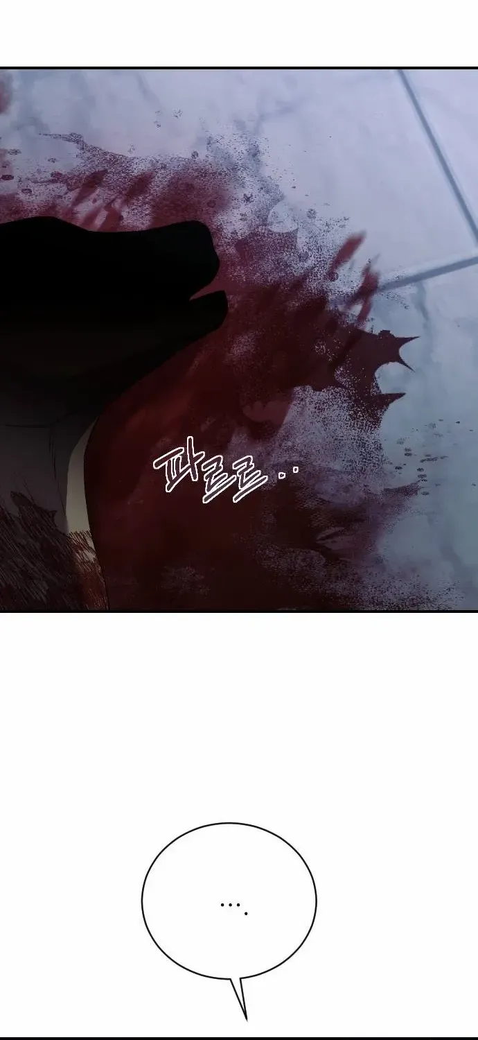 The Empress’s Beast Selection Chapter 33 page 12 - 