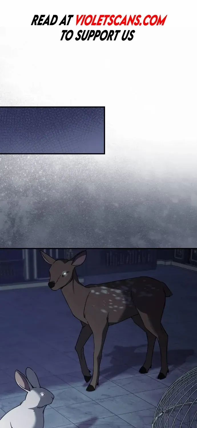 The Empress’s Beast Selection Chapter 33 page 3 - 