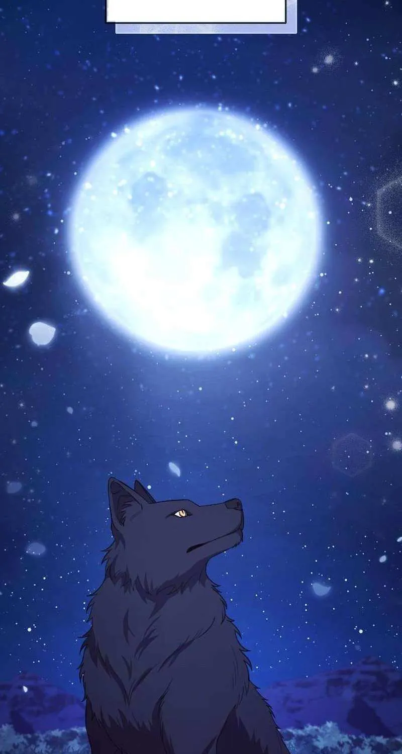 The Empress’s Beast Selection Chapter 50 page 73 - 