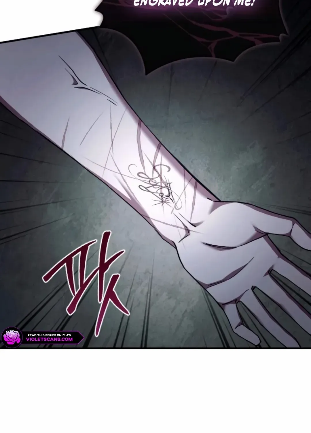 The Empress’s Beast Selection Chapter 59 page 61 - 