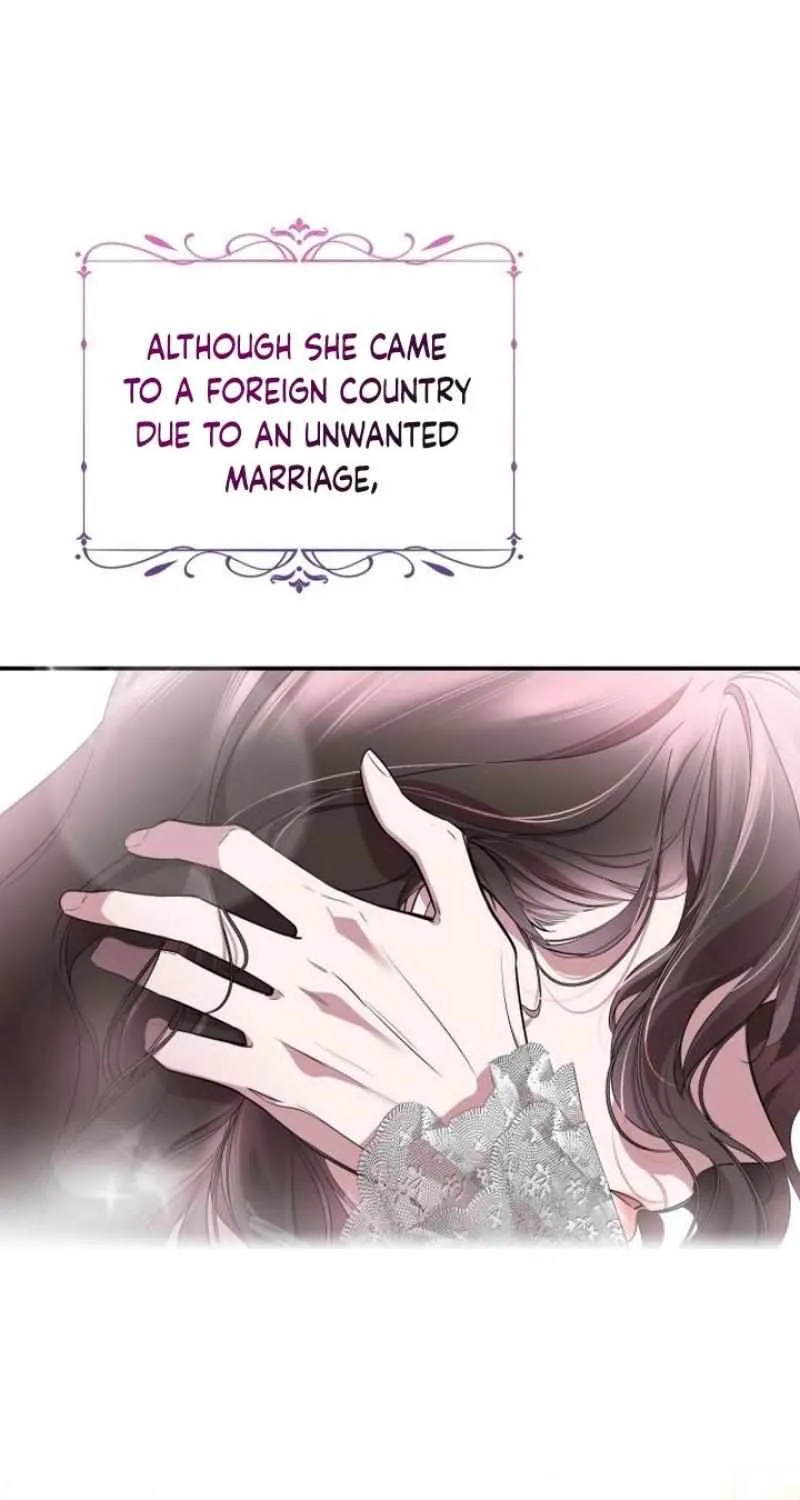 The empresss time reversed abducted marriage Chapter 1 page 47 - 