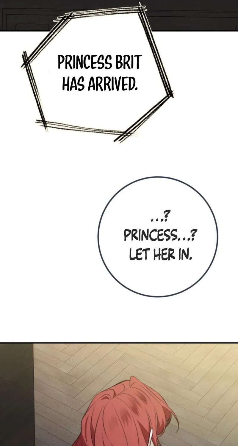 The End of an Imperfect Divorce Chapter 12 page 91 - 