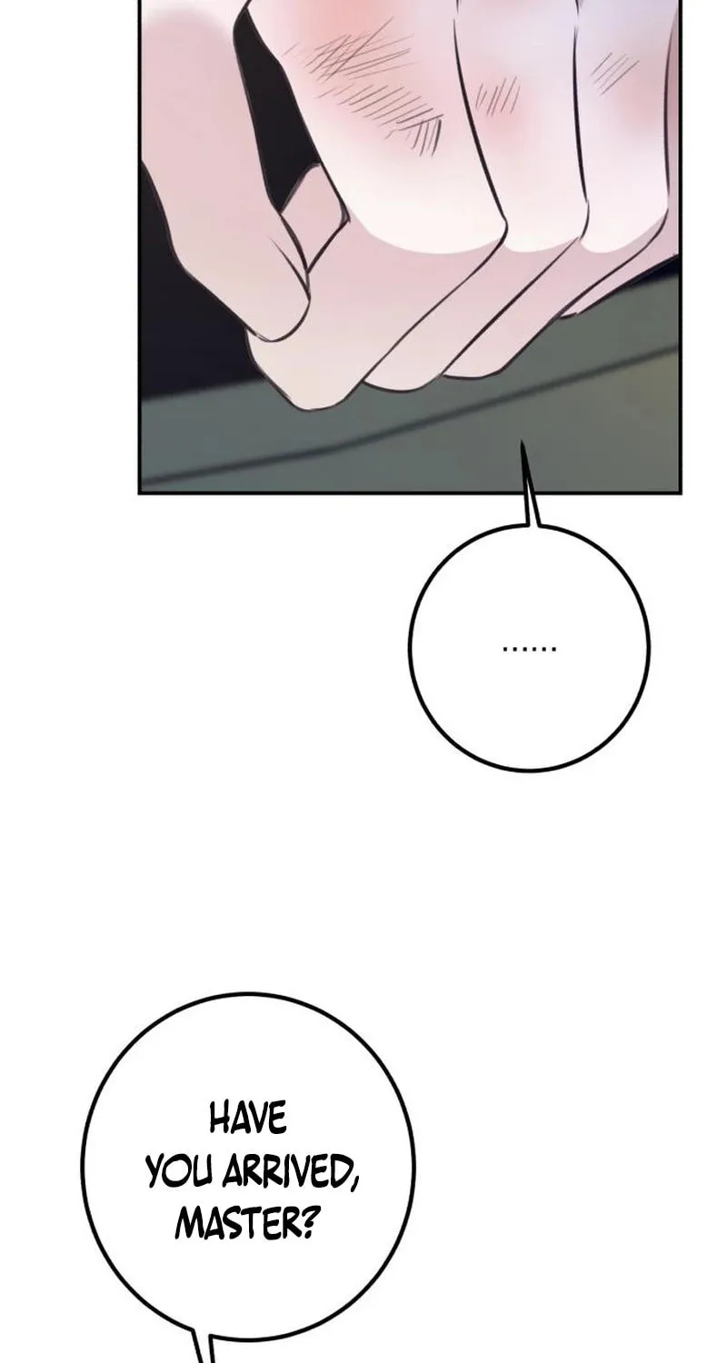 The End of an Imperfect Divorce Chapter 13 page 5 - 
