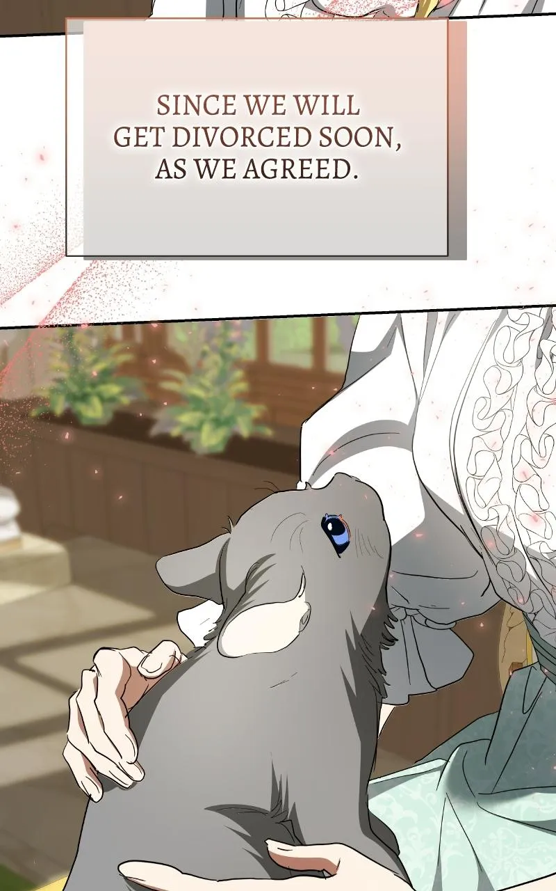The End of the Contract Marriage Chapter 36 page 92 - 