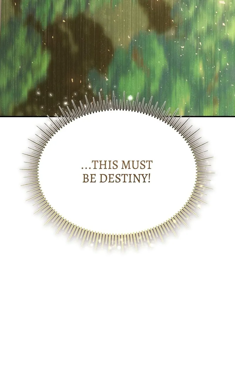 The End of the Contract Marriage Chapter 37 page 126 - 