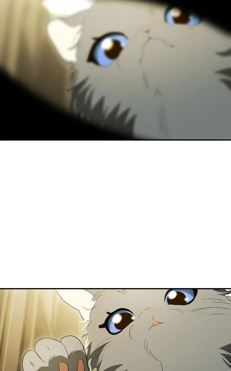 The End of the Contract Marriage Chapter 43 page 113 - 