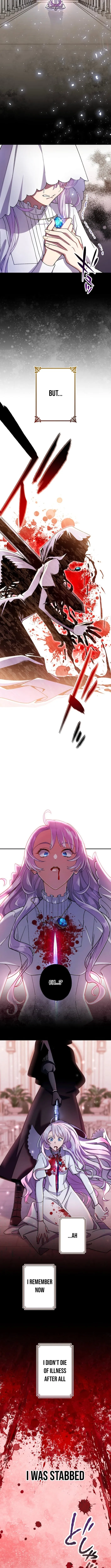 The Enemy King