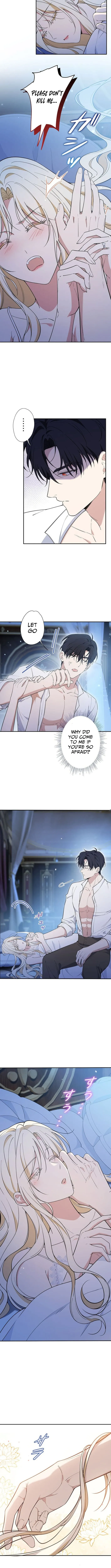 The Enemy King