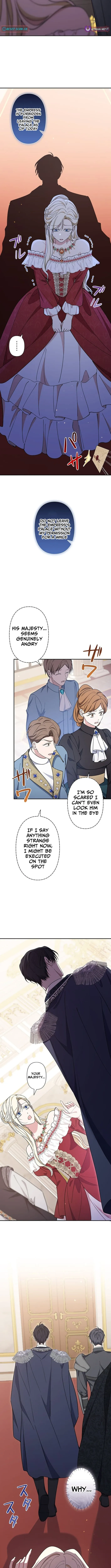 The Enemy King