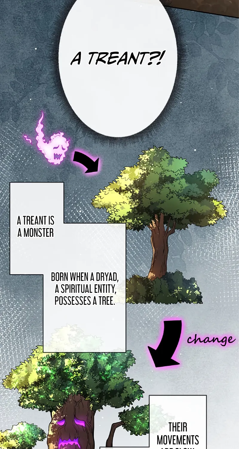 The Eternal Support Mage Becomes the Strongest Sage Chapter 10 page 65 - 