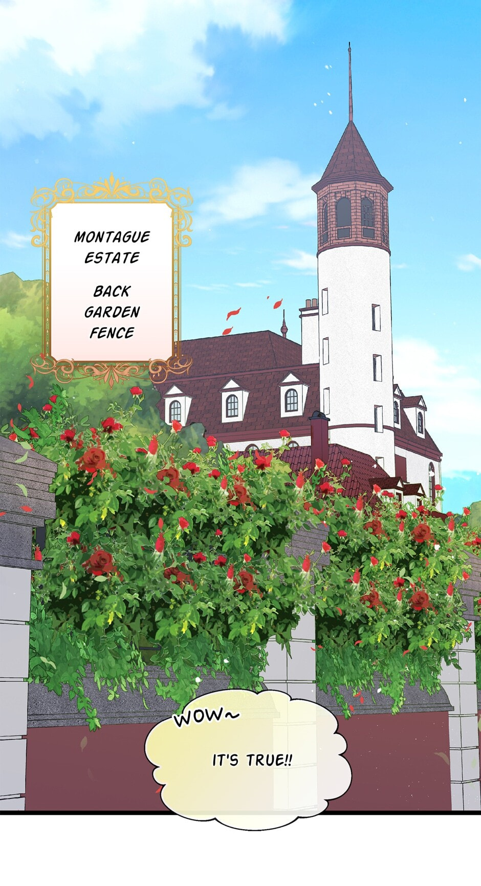 The Events of Romeo