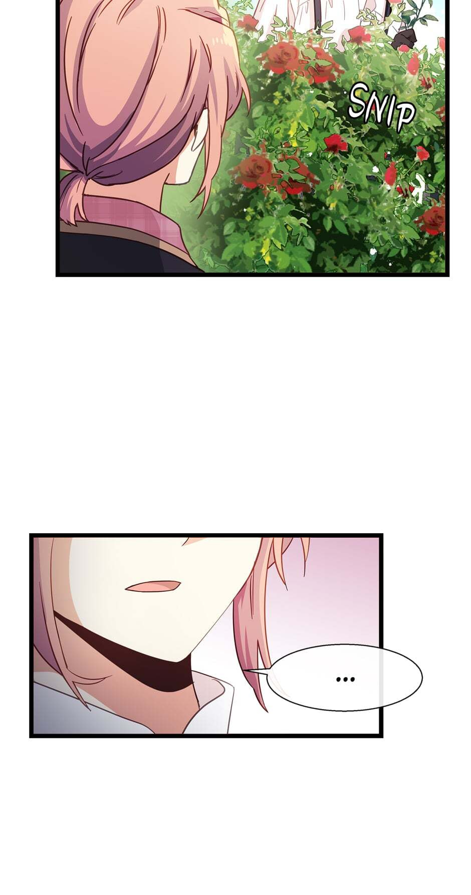 The Events of Romeo