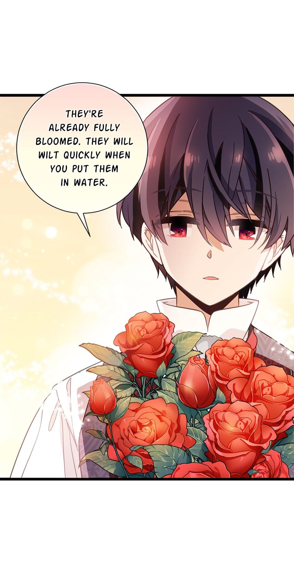 The Events of Romeo