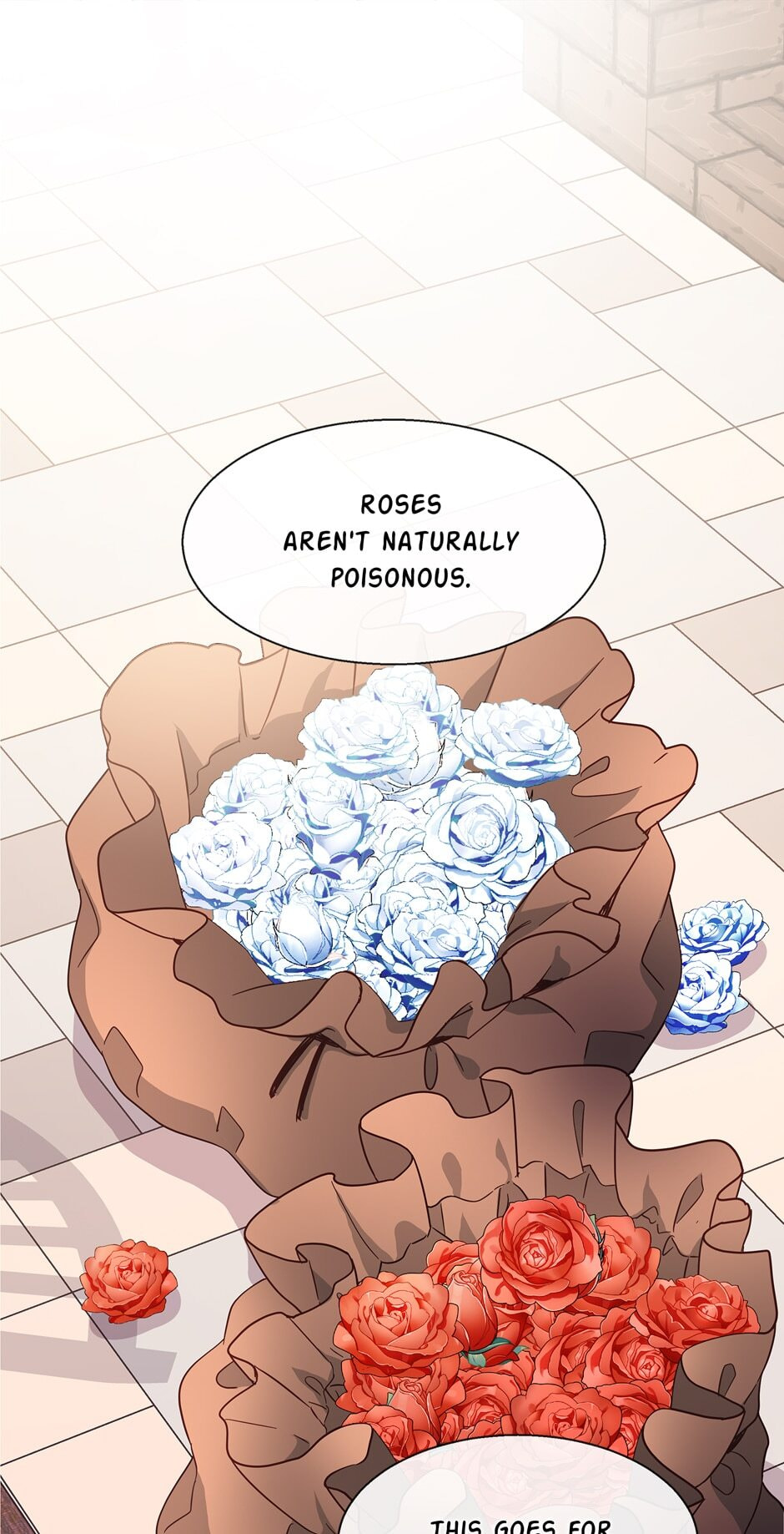 The Events of Romeo