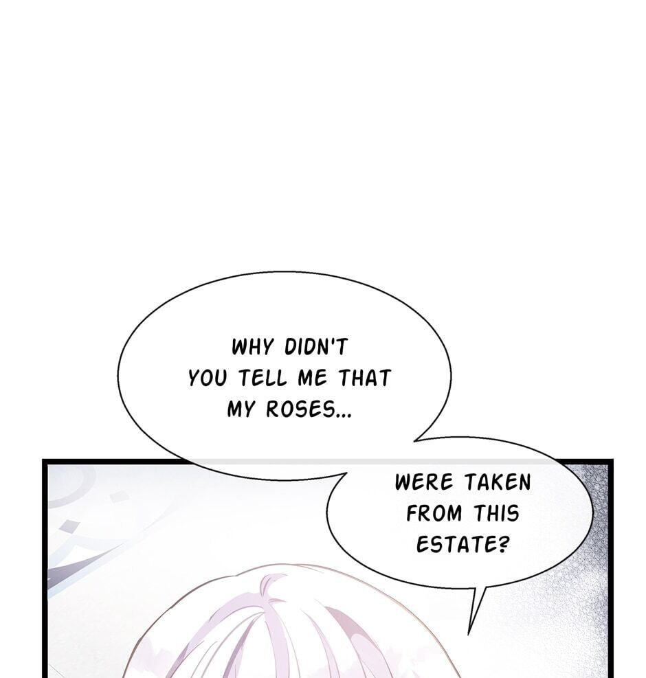 The Events of Romeo