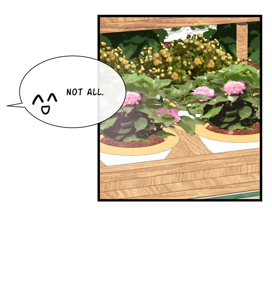 The Events of Romeo