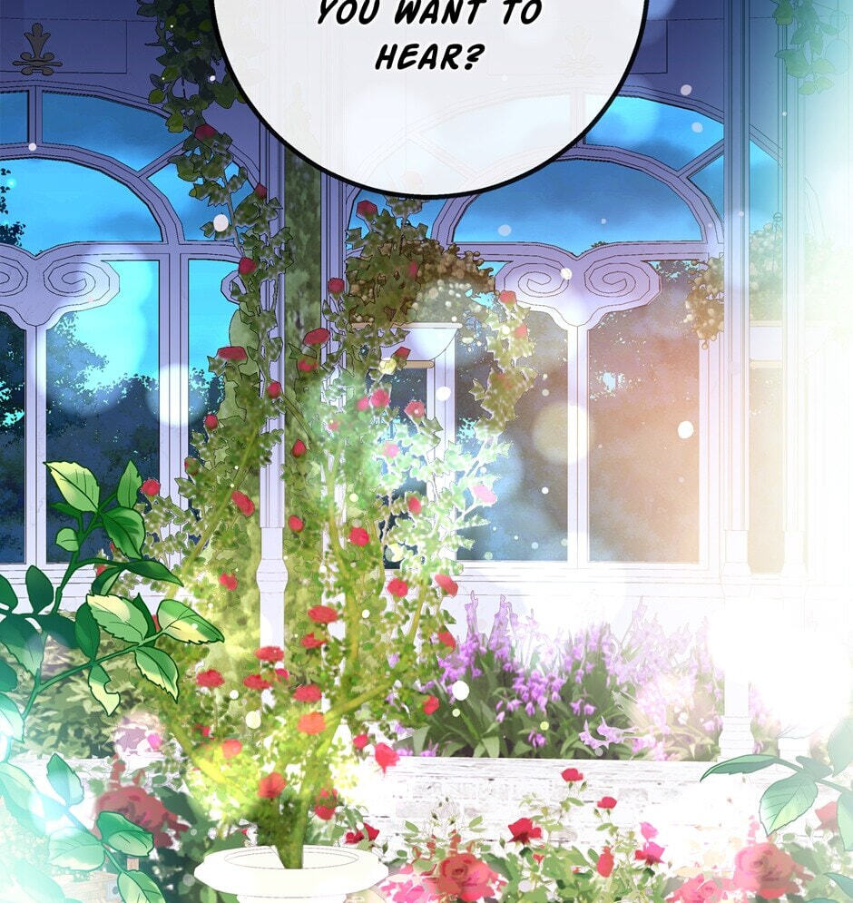 The Events of Romeo