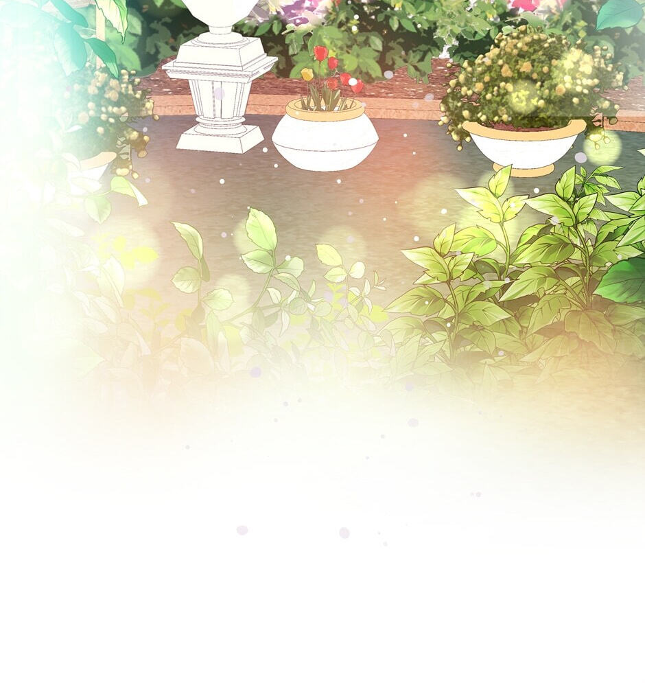 The Events of Romeo
