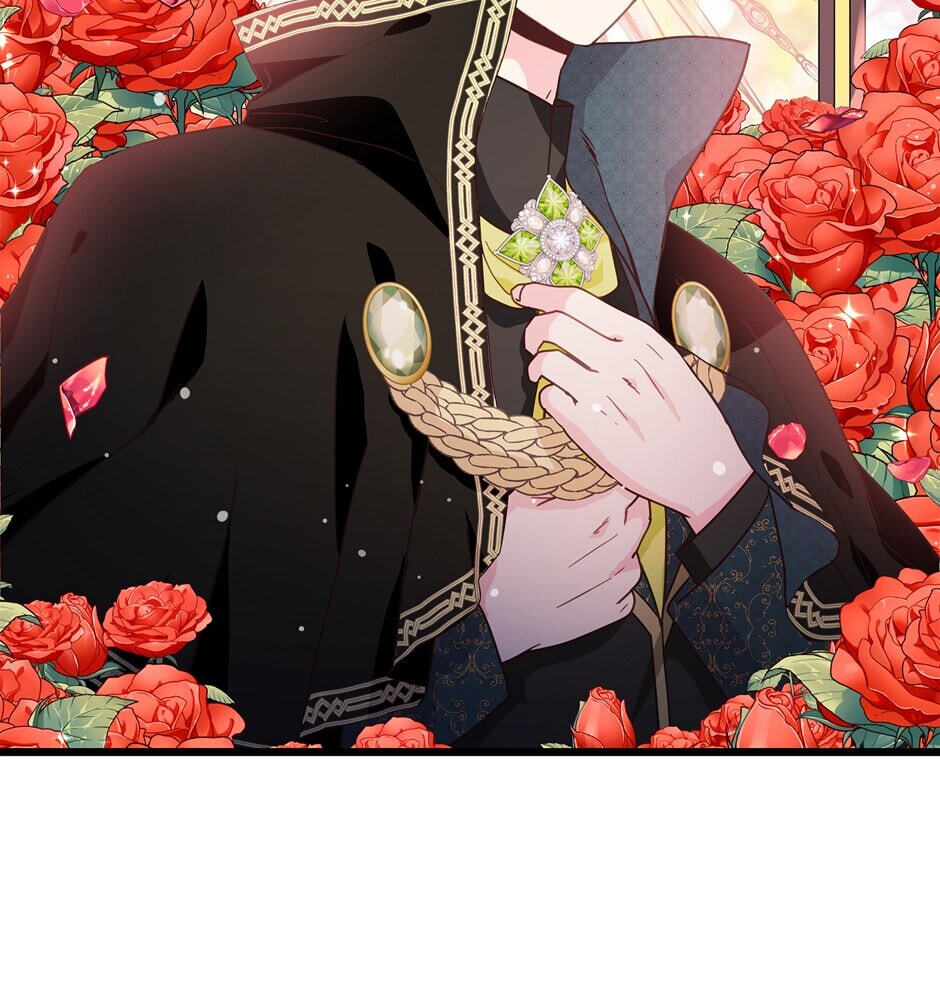 The Events of Romeo