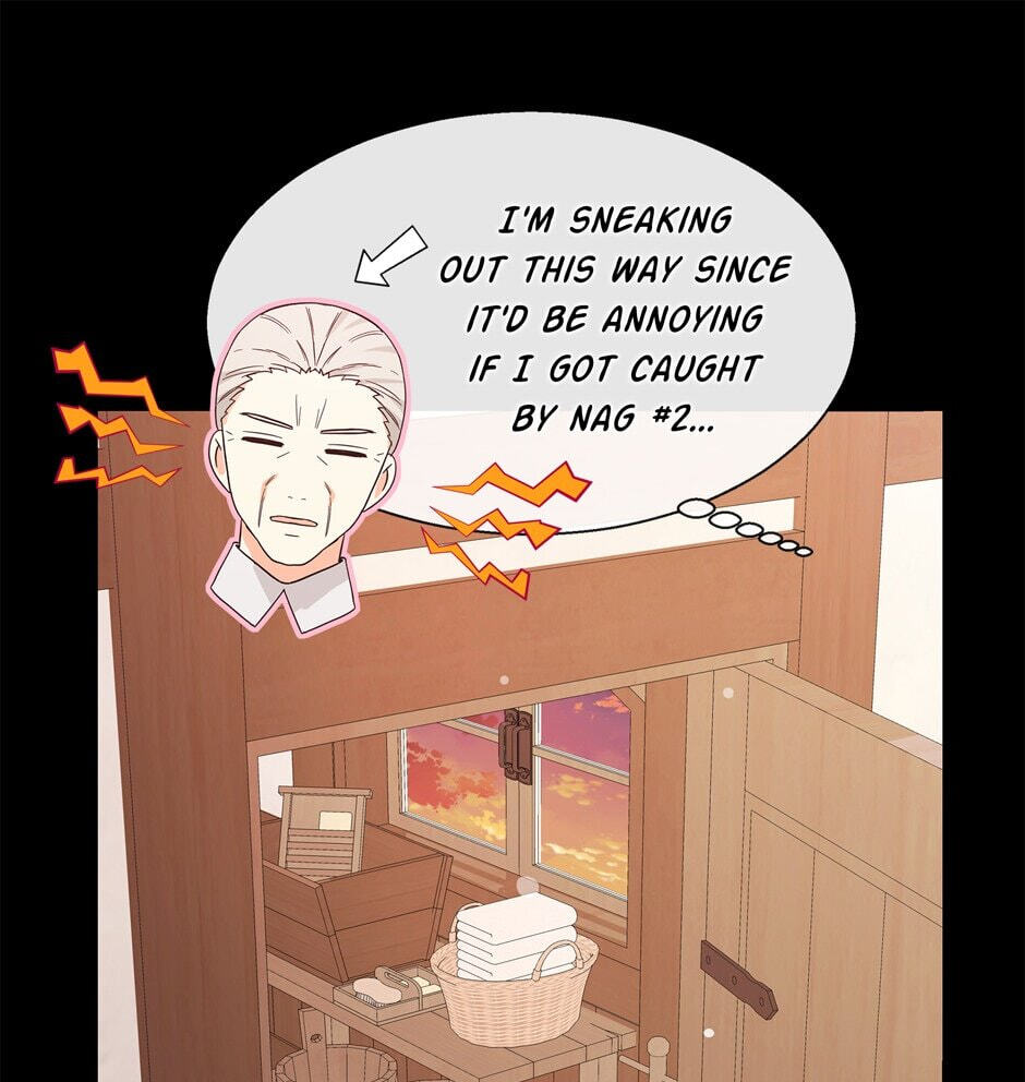 The Events of Romeo