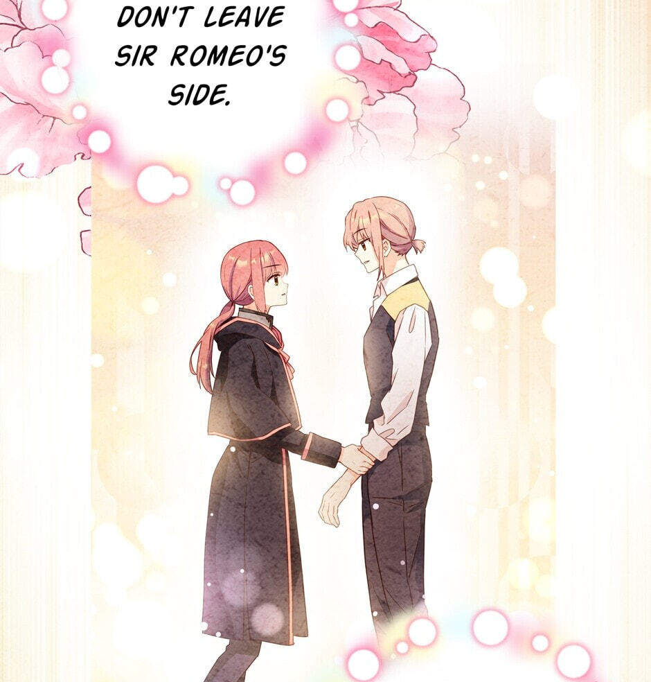 The Events of Romeo