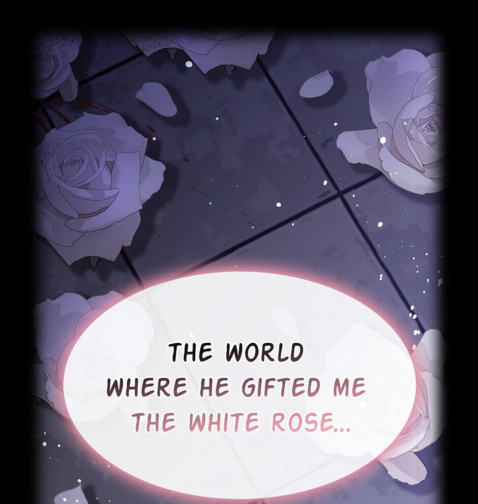 The Events of Romeo